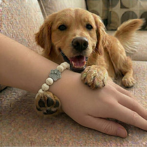 Paw Print Beaded Stretch Bracelet - White Pine