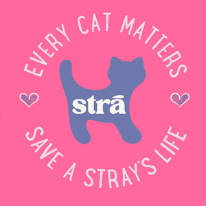 Every Cat Matters Save A Stray’s Life Tee (Lagoon Blue, Terracotta, Violet, Crunchberry)