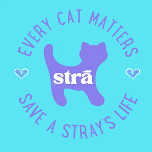 Every Cat Matters Save A Stray’s Life Tee (Lagoon Blue, Terracotta, Violet, Crunchberry)