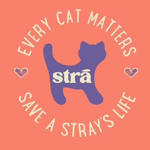 Every Cat Matters Save A Stray’s Life Tee (Lagoon Blue, Terracotta, Violet, Crunchberry)