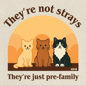 They're Not Strays, They're Just Pre Family Tee - Cats (Blue Jean, Ivory, Terracotta, Seafoam)