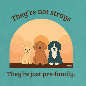 They're Not Strays, They're Just Pre-Family (Blue Jean, Terracotta, Ivory, Seafoam)