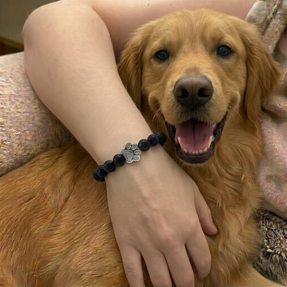 Paw Print Beaded Stretch Bracelet - Black