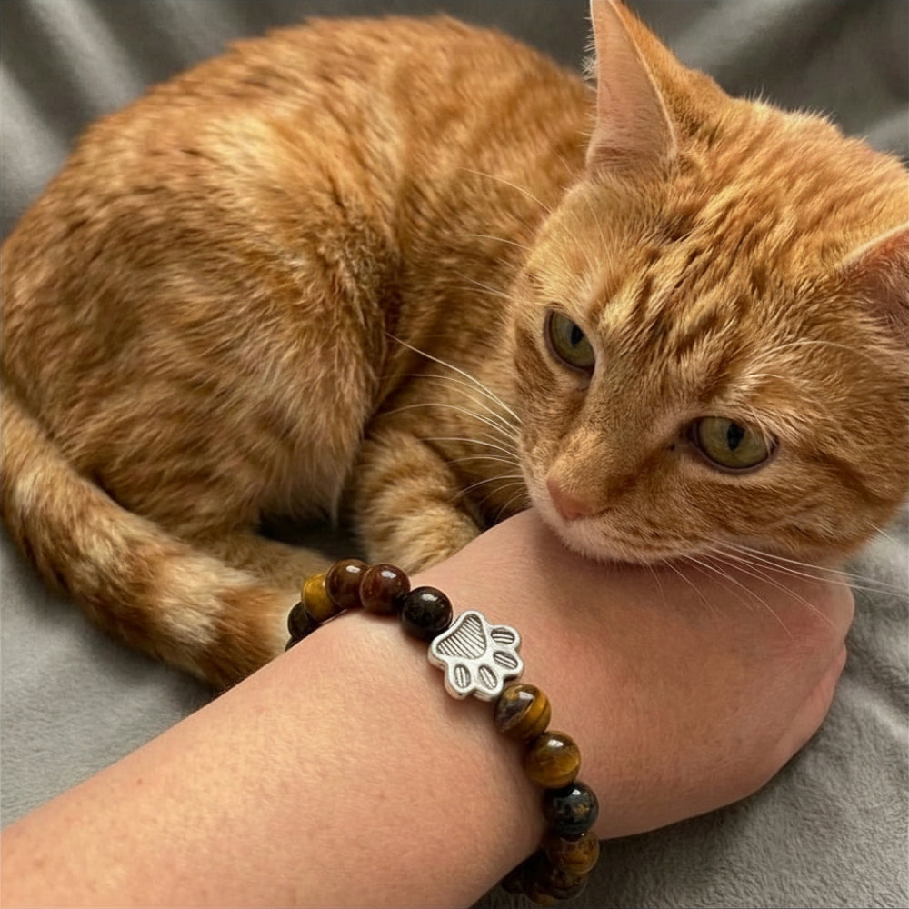 Paw Print Beaded Stretch Bracelet - Brown Tigers Eye