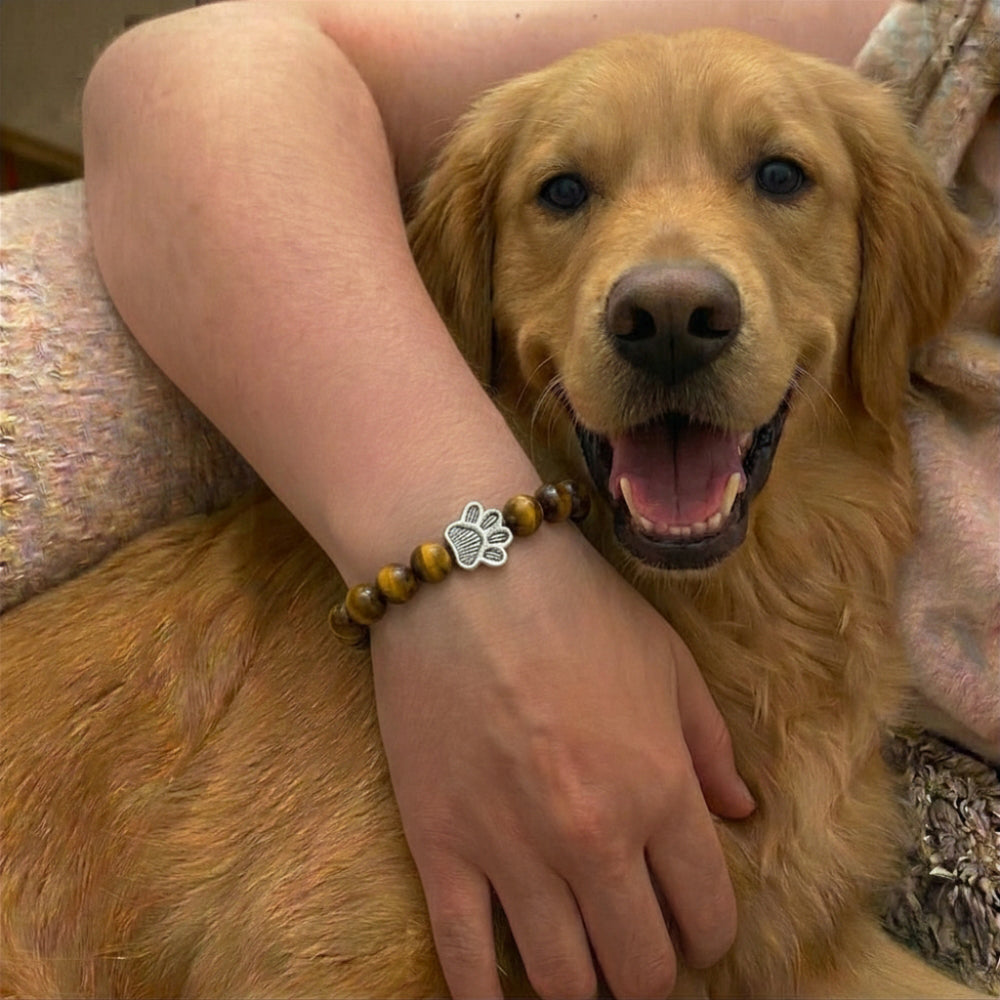 Paw Print Beaded Stretch Bracelet - Brown Tigers Eye