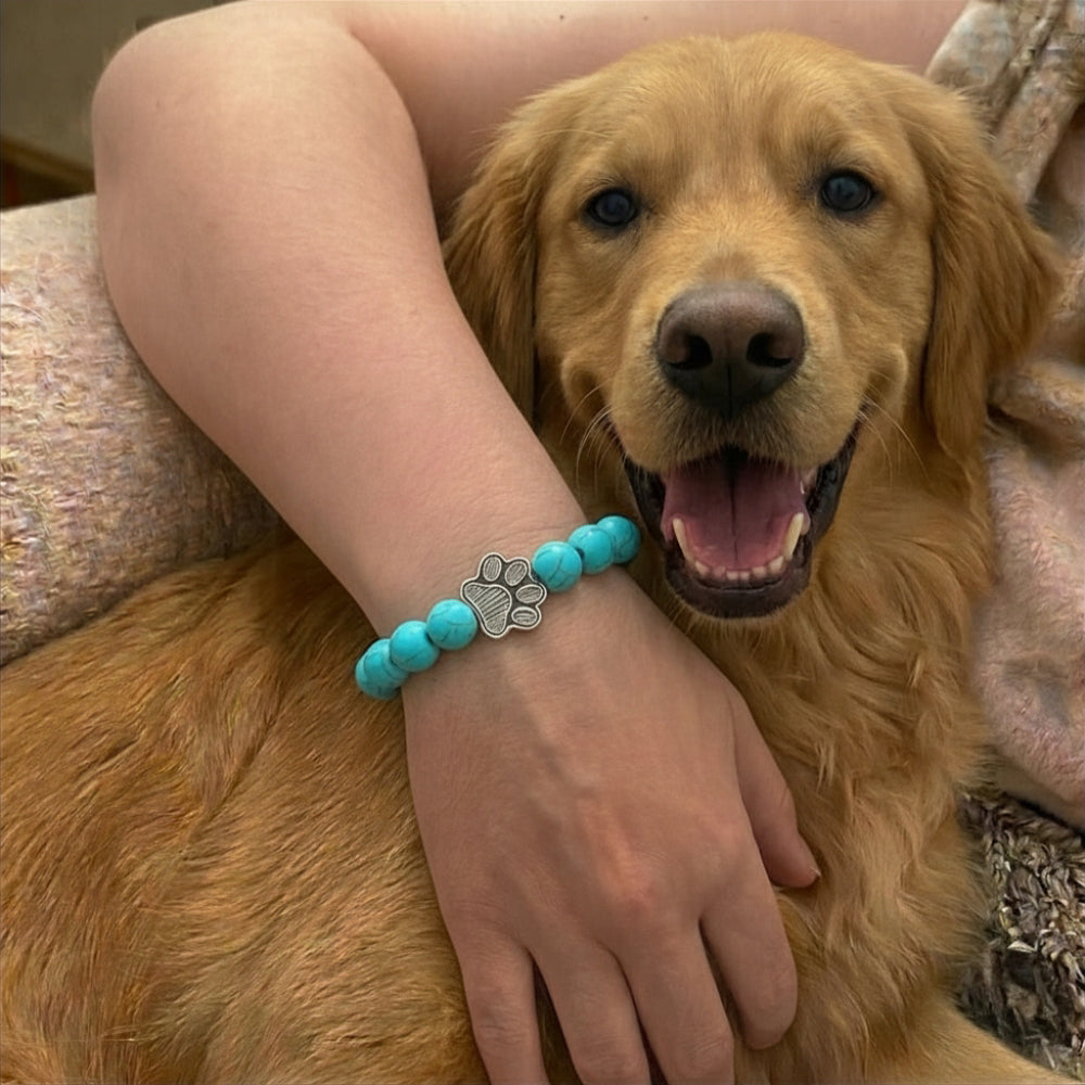 Paw Print Beaded Stretch Bracelet - Blue Pine