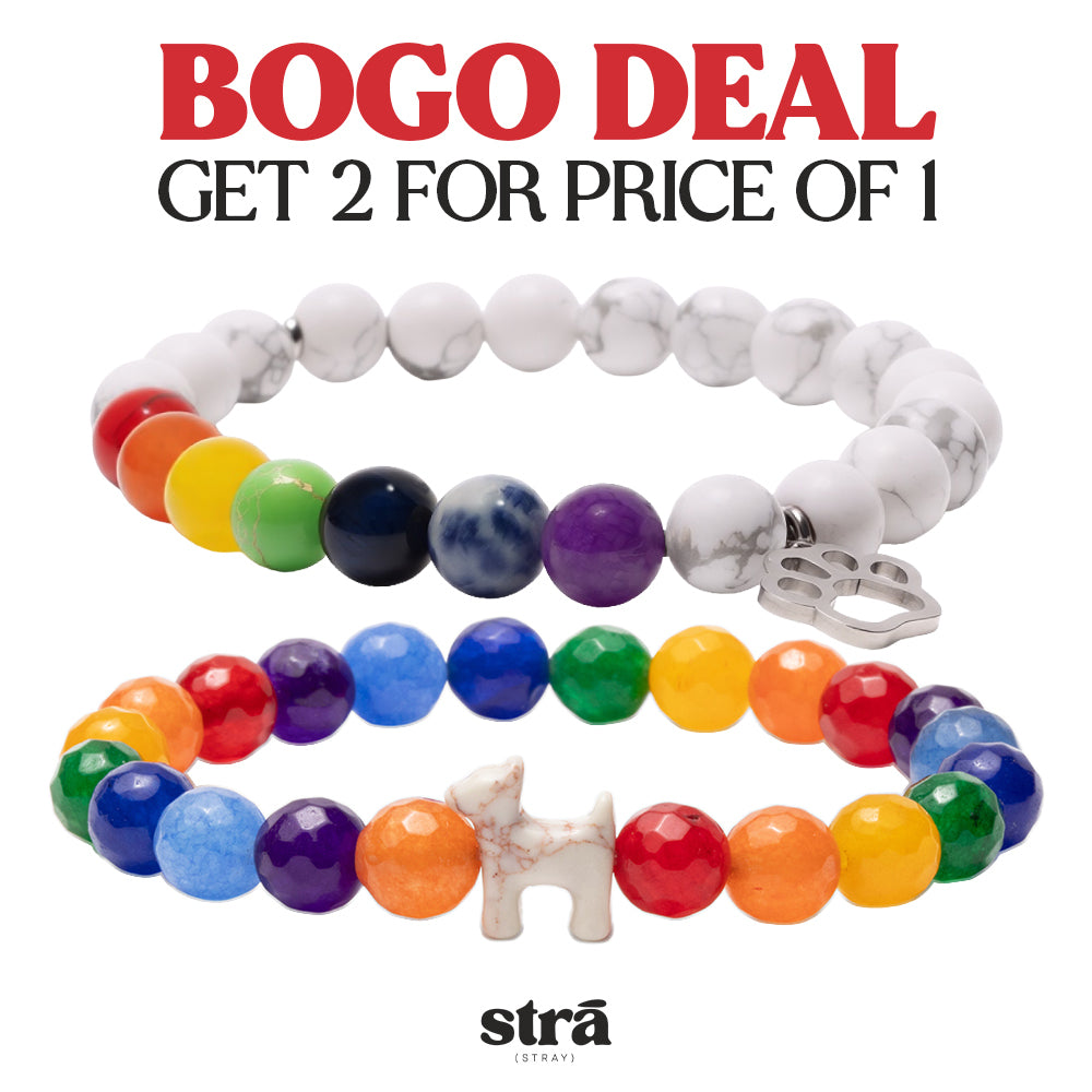 BUY 1 GET 1 STRA Dog Natural Stone Rainbow and Howlite &amp; Crystal Rainbow Bracelets