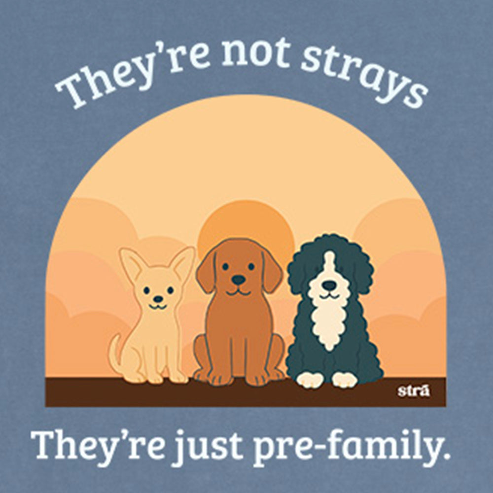They&#39;re Not Strays, They&#39;re Just Pre-Family (Blue Jean, Terracotta, Ivory, Seafoam)