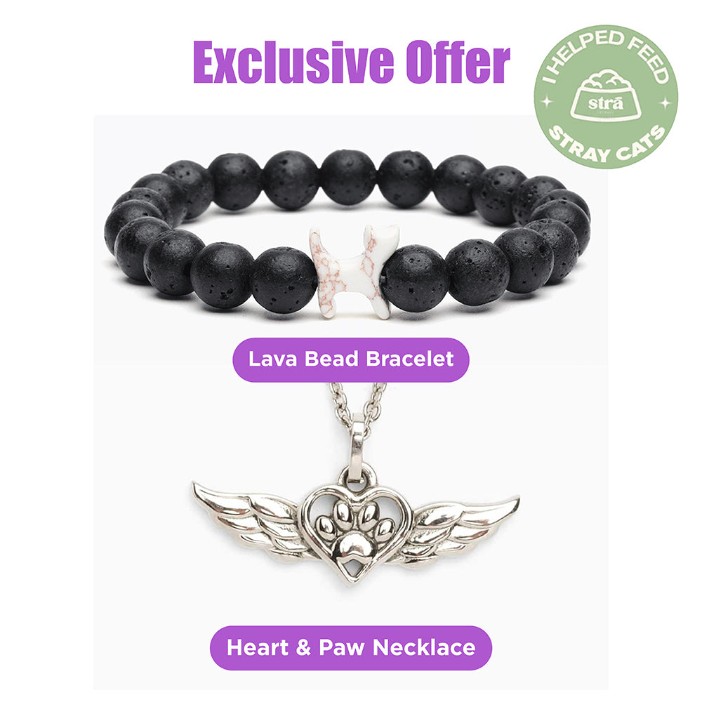Exclusive Subscriber Super Deal! Angel Wings Heart Paw Memorial Necklace and STRA Cat Black Lava Beaded Bracelet
