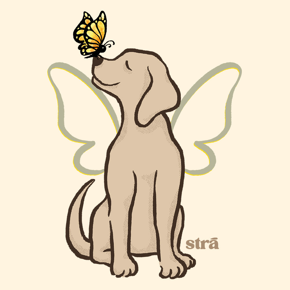 Wings Of Hope Dog &amp; Butterfly Tee (Sea Foam, Blue Jean, Terracotta, Ivory)