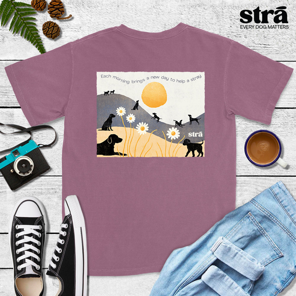 Each Morning Brings A New Day To Save A Stray Tee (Violet, Blue Jean, Terracotta, Berry)