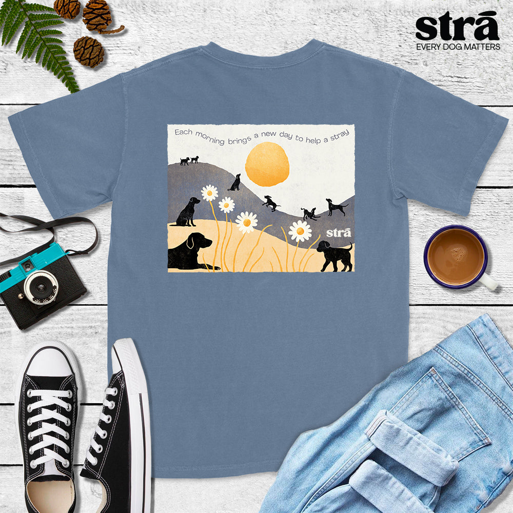 Each Morning Brings A New Day To Save A Stray Tee (Violet, Blue Jean, Terracotta, Berry)