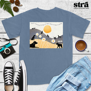 Each Morning Brings A New Day To Save A Stray Tee (Berry, Blue Jean, Violet, Terracotta)