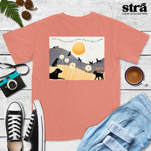 Each Morning Brings A New Day To Save A Stray Tee (Berry, Blue Jean, Violet, Terracotta)