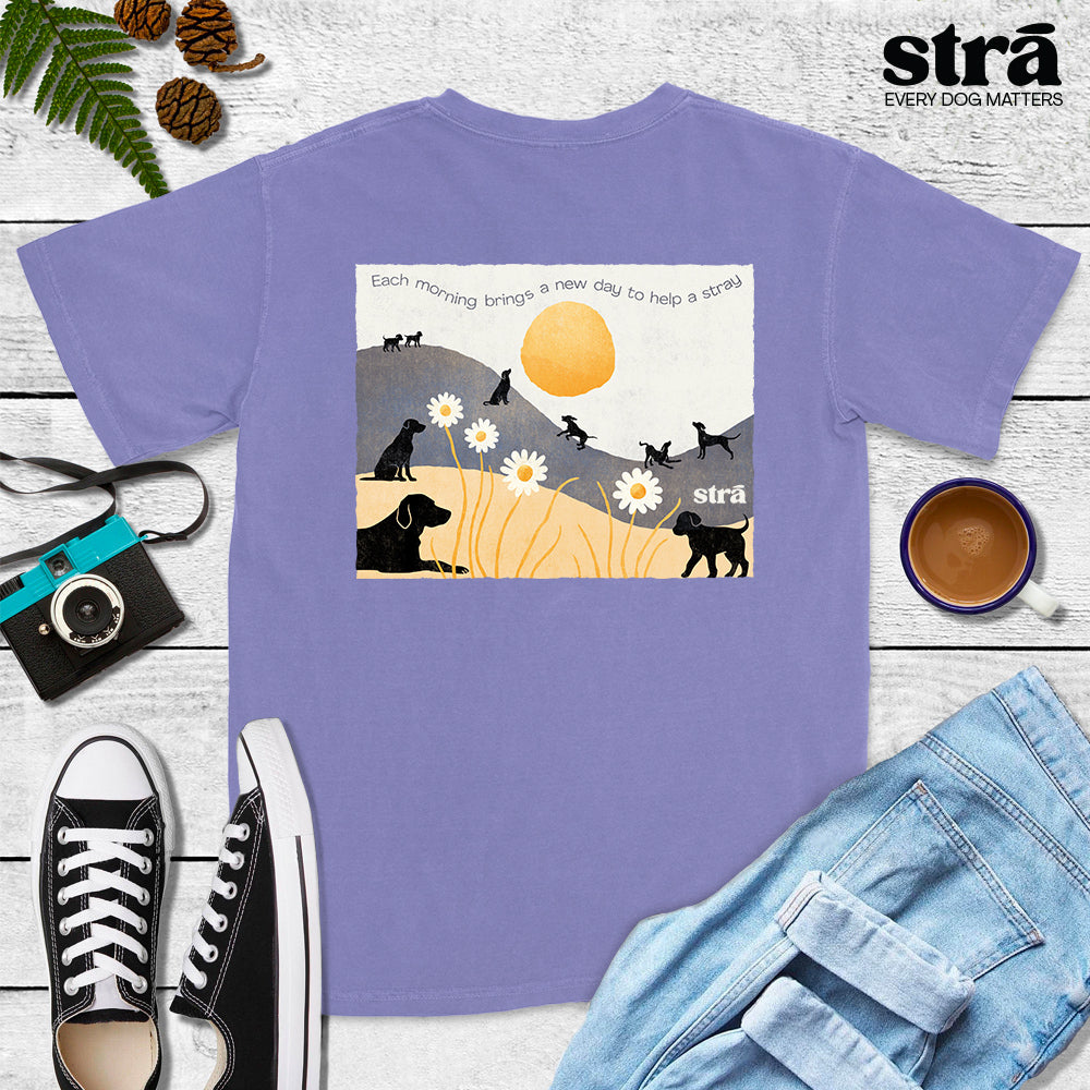 Each Morning Brings A New Day To Save A Stray Tee (Violet, Blue Jean, Terracotta, Berry)