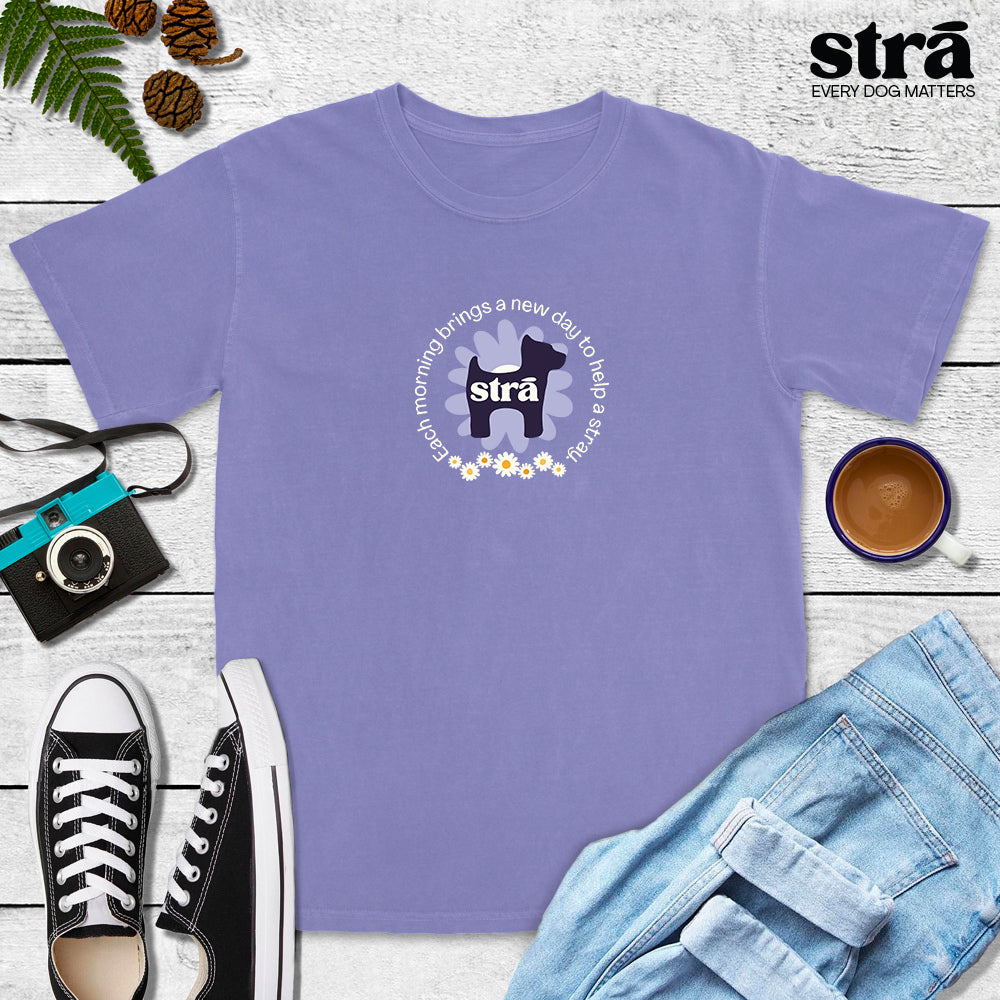 Each Morning Brings A New Day To Save A Stray Tee (Violet, Blue Jean, Terracotta, Berry)