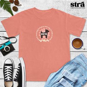 Each Morning Brings A New Day To Save A Stray Tee (Berry, Blue Jean, Violet, Terracotta)