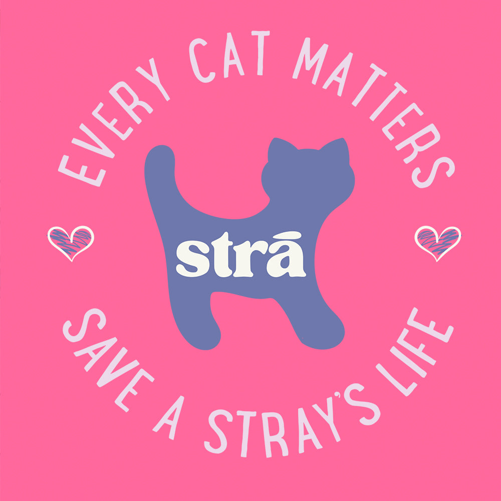 Every Cat Matters Save A Stray’s Life Tee (Lagoon Blue, Terracotta, Violet, Crunchberry)