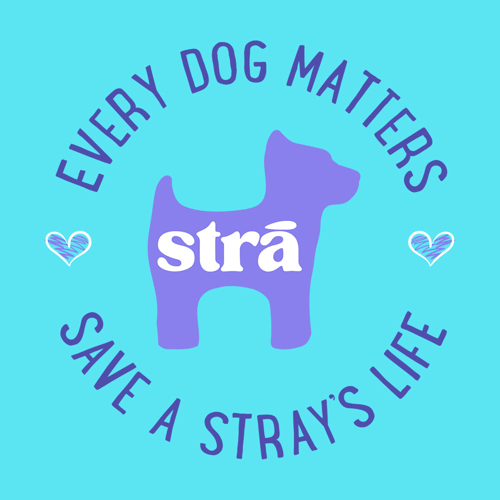 Every Dog Matters Save A Stray's Life Tee (Lagoon Blue, Terracotta, Violet, Crunchberry)