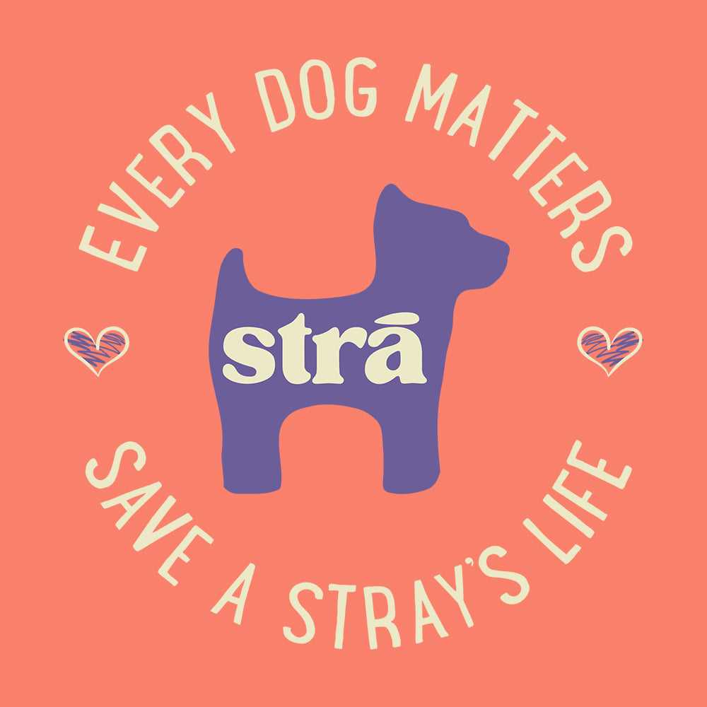 Every Dog Matters Save A Stray&#39;s Life Tee (Lagoon Blue, Terracotta, Violet, Crunchberry)