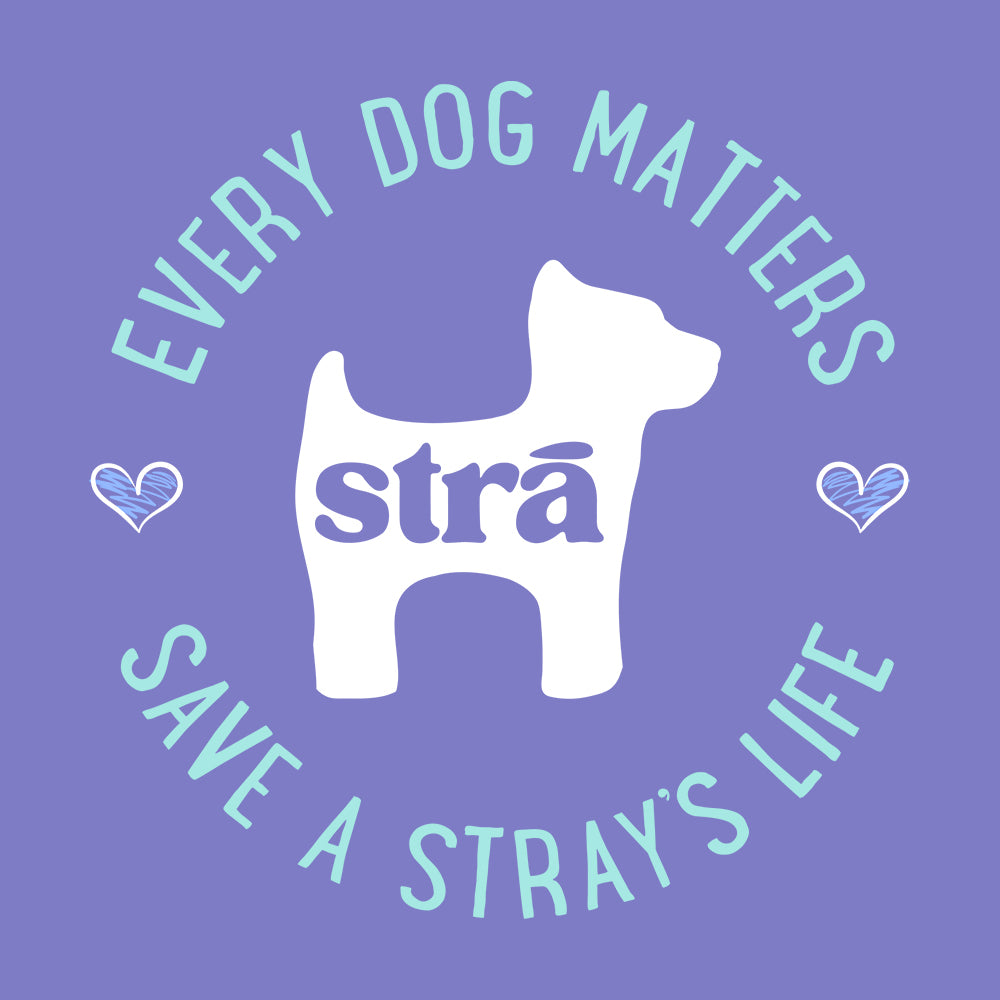 Every Dog Matters Save A Stray&#39;s Life Tee (Lagoon Blue, Terracotta, Violet, Crunchberry)