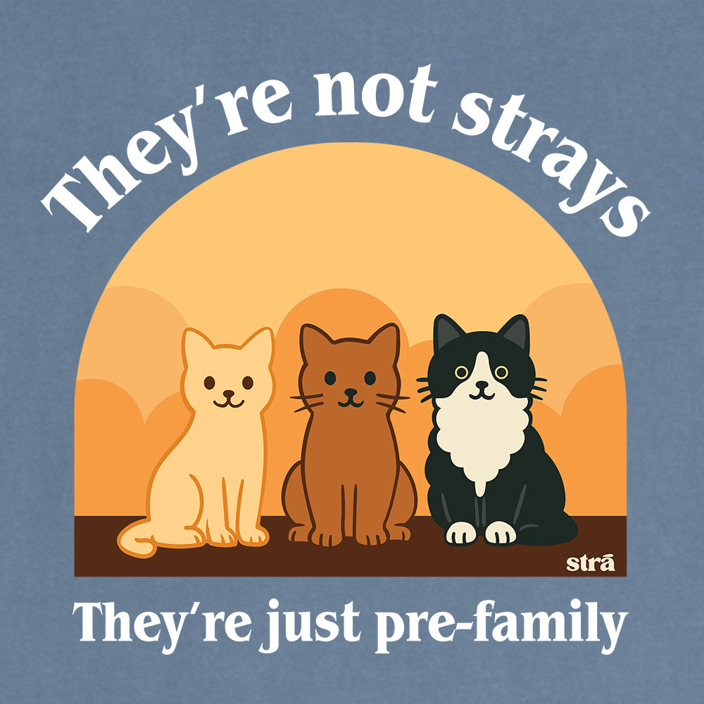 They're Not Strays, They're Just Pre Family Tee - Cats (Blue Jean, Ivory, Terracotta, Seafoam)