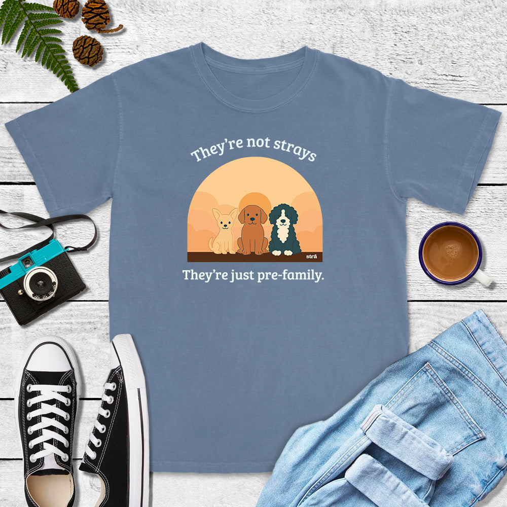 They&#39;re Not Strays, They&#39;re Just Pre-Family (Blue Jean, Terracotta, Ivory, Seafoam)