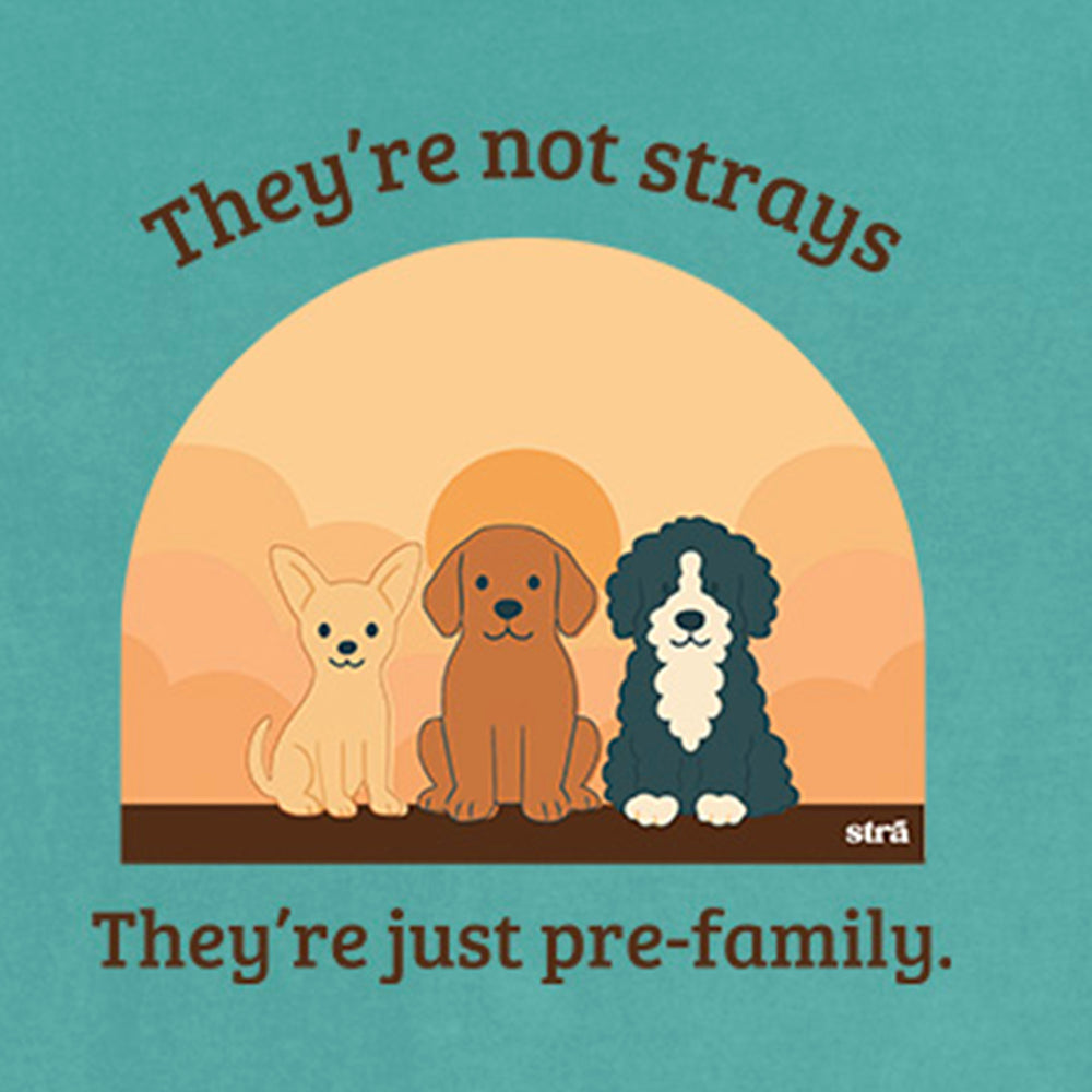 They&#39;re Not Strays, They&#39;re Just Pre-Family (Blue Jean, Terracotta, Ivory, Seafoam)