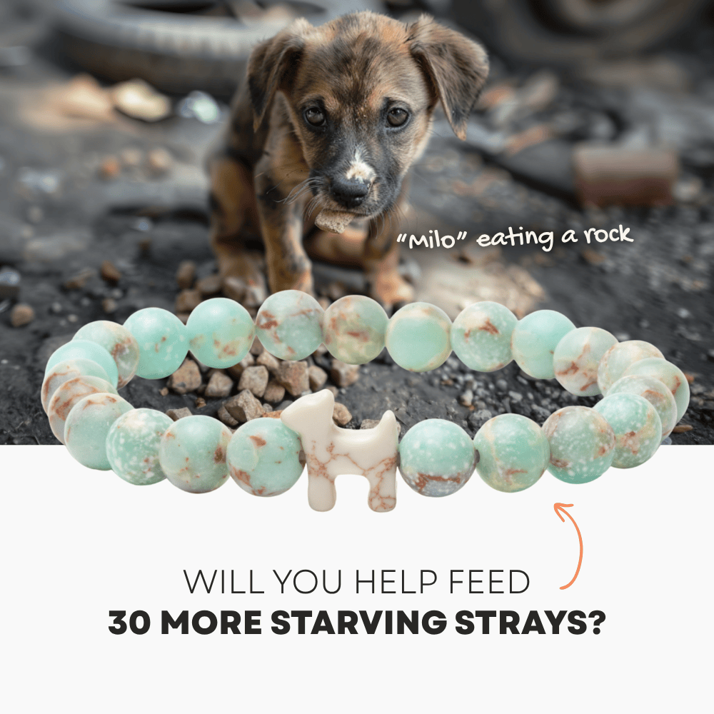 STRA Dog Blue Agalmatolite Beaded Bracelet