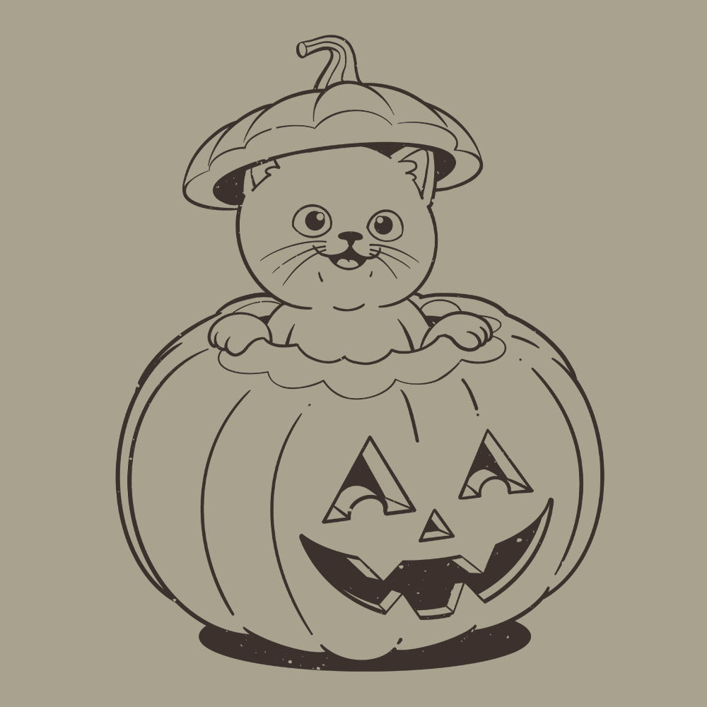 Pumpkin Cat Tee (Terracotta, Ivory, Sandstone, White)
