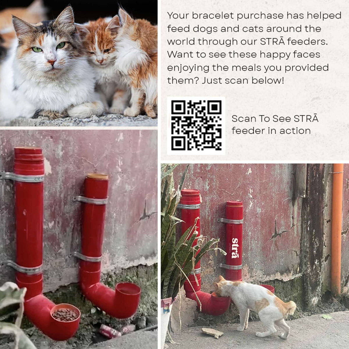 Stack Set-Rainbow Bridge Memorial Cat Bracelets with Natural Stone Rainbow &amp; Howilte &amp; Crystal Stone