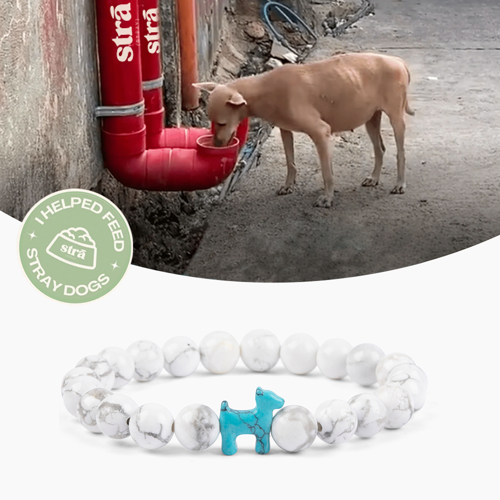 “To The Best Dog Mom” – STRĀ Dog Beaded Bracelet- White Howlite - Donates 10 Meals to Help Feed Hungry Stray Dogs