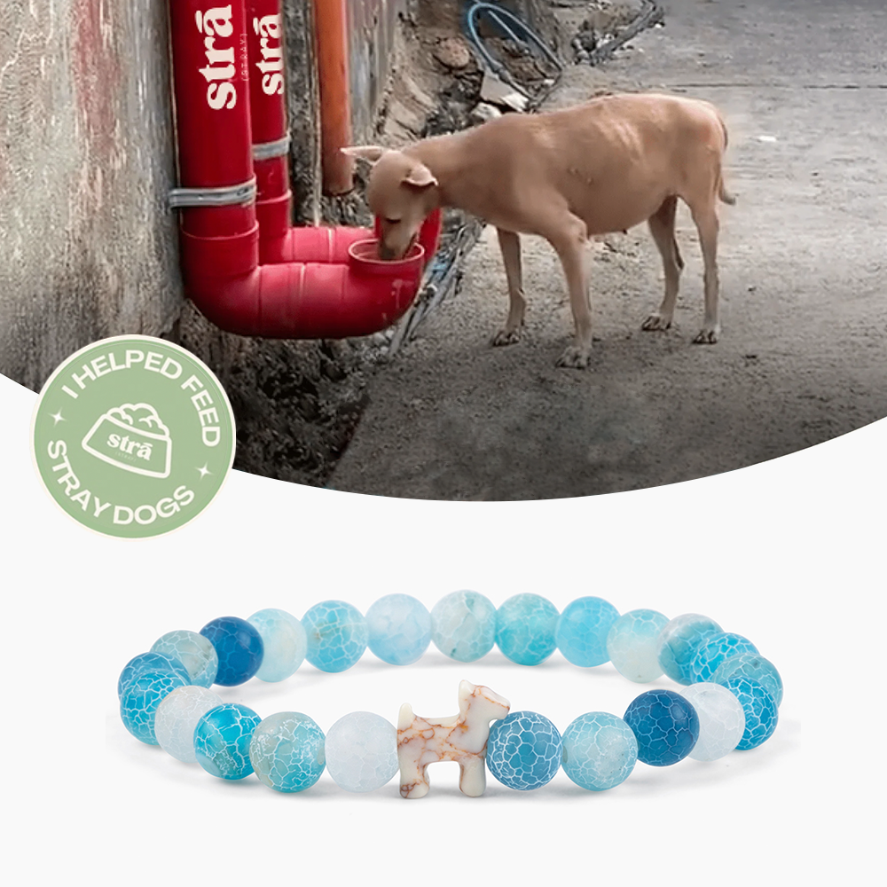 “To The Best Dog Mom” – STRĀ Dog Beaded Bracelet- Natural Blue Fossil - Donates 10 Meals to Help Feed Hungry Stray Dogs