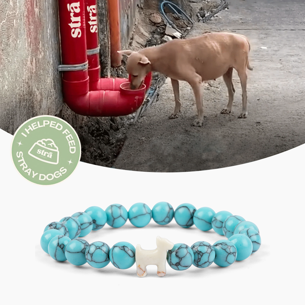 ARCHIVED “Best Dog Mom Ever” – STRĀ Dog Beaded Bracelet- Turquoise Blue Bracelet - Donates 10 Meals to Help Feed Hungry Stray Dogs