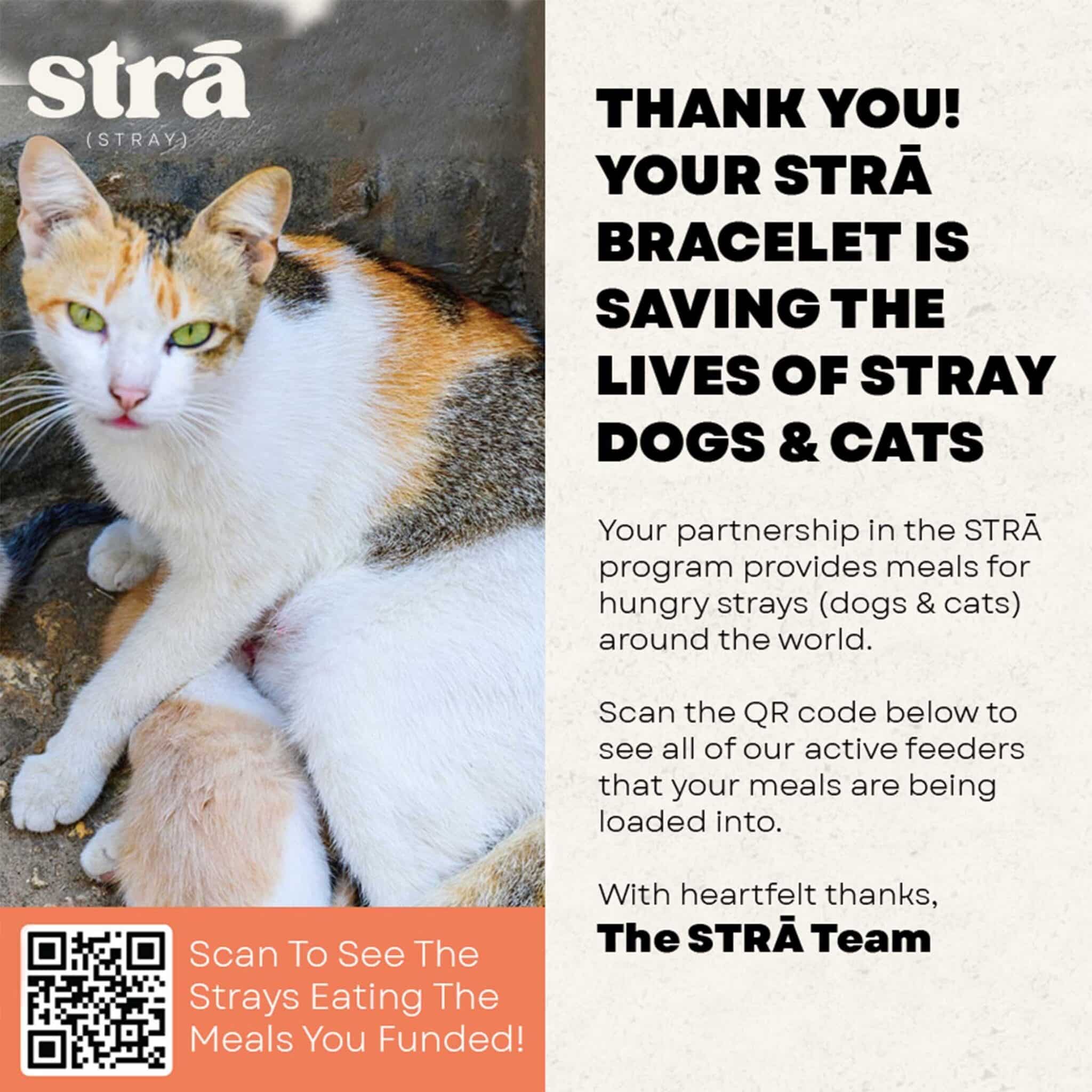 STRĀ Cat Beaded Bracelet