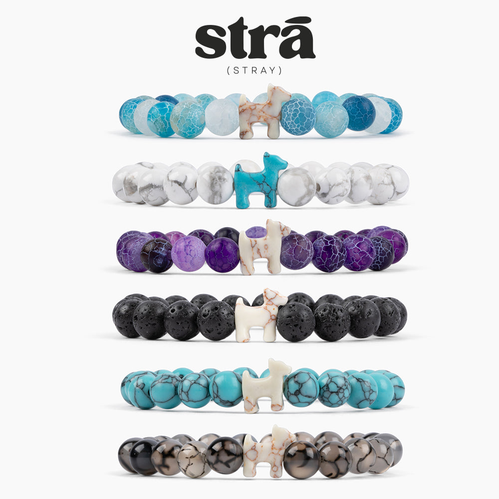 BUY 1 GET 1 STRA Dog Natural Stone Rainbow and Howlite &amp; Crystal Rainbow Bracelets