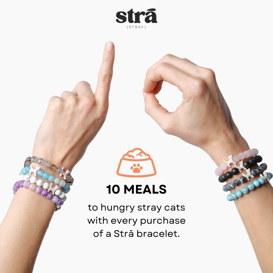 Special Offer - Dog and Cat Black Lava Beaded Bracelet Set