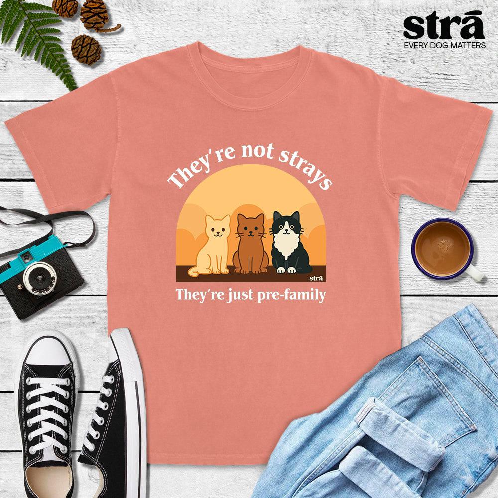They&#39;re Not Strays, They&#39;re Just Pre Family Tee - Cats (Blue Jean, Ivory, Terracotta, Seafoam)