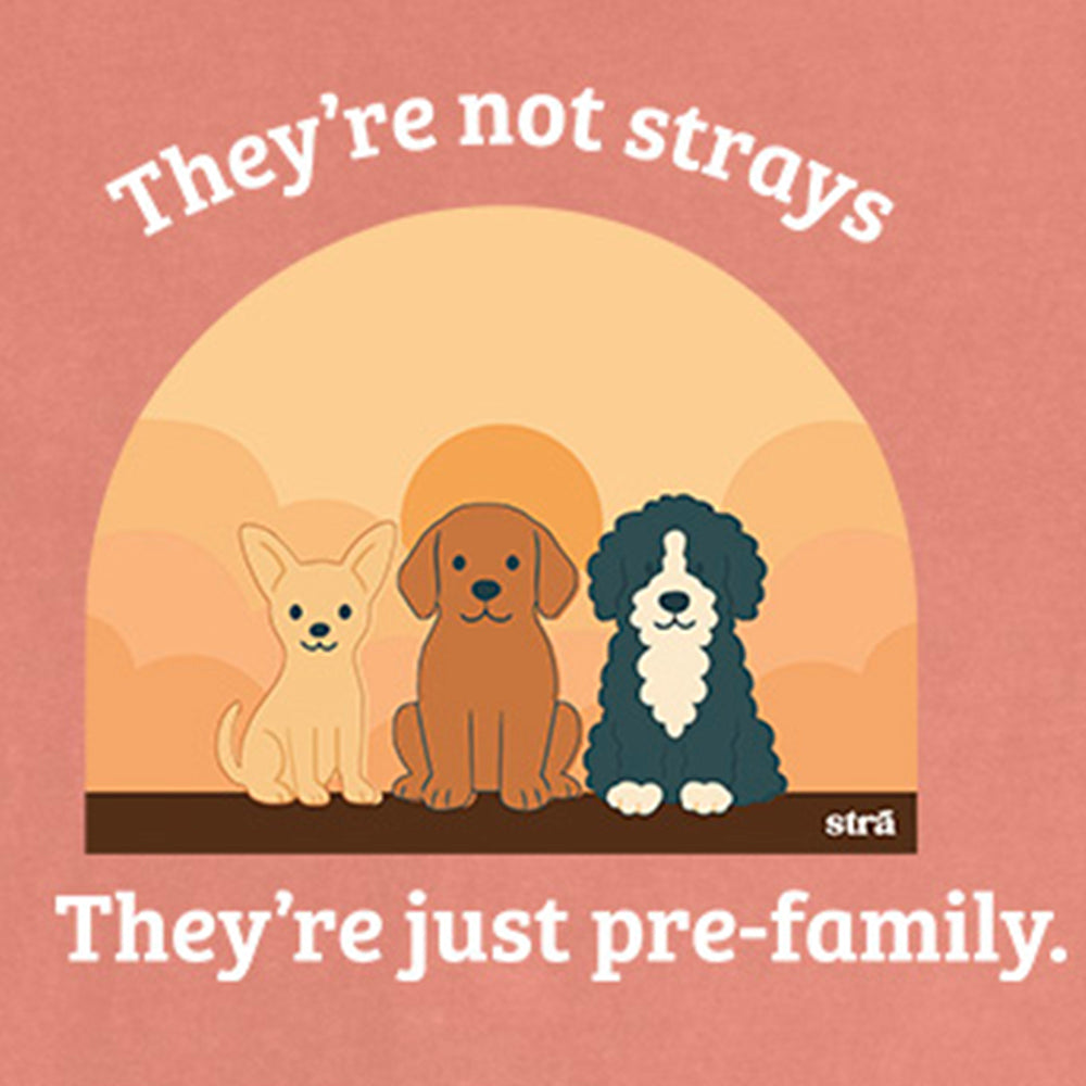 They&#39;re Not Strays, They&#39;re Just Pre-Family (Blue Jean, Terracotta, Ivory, Seafoam)