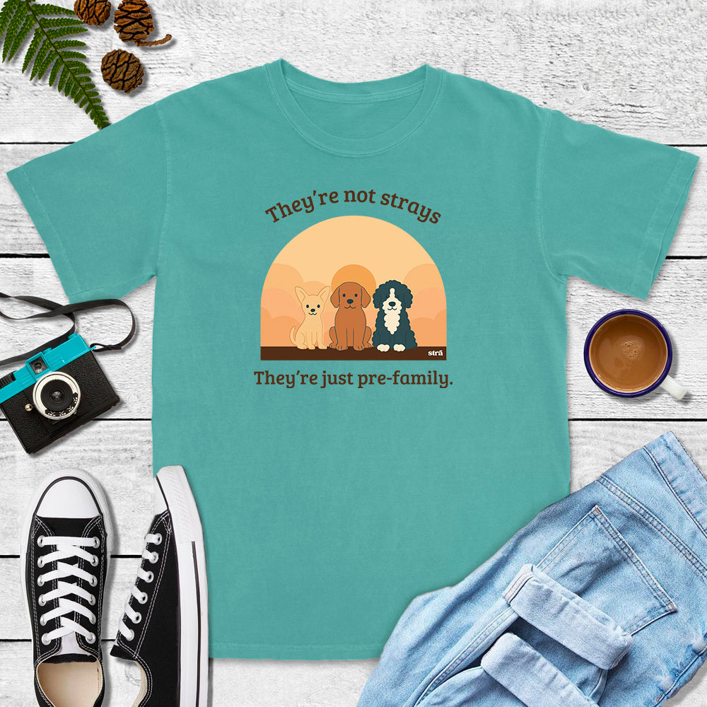 They&#39;re Not Strays, They&#39;re Just Pre-Family (Blue Jean, Terracotta, Ivory, Seafoam)