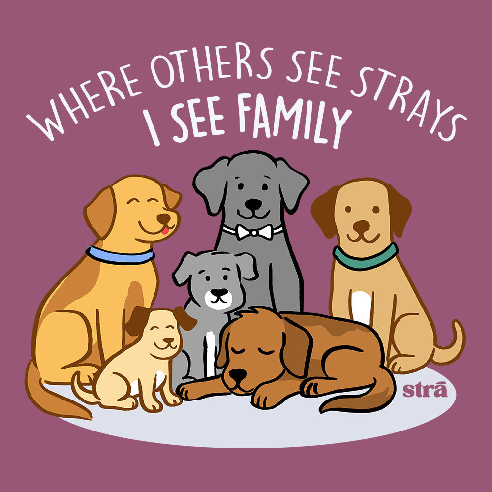 Where Others See Strays, I See Family Tee (Terracotta, Berry, Blue Jean, Ivory)