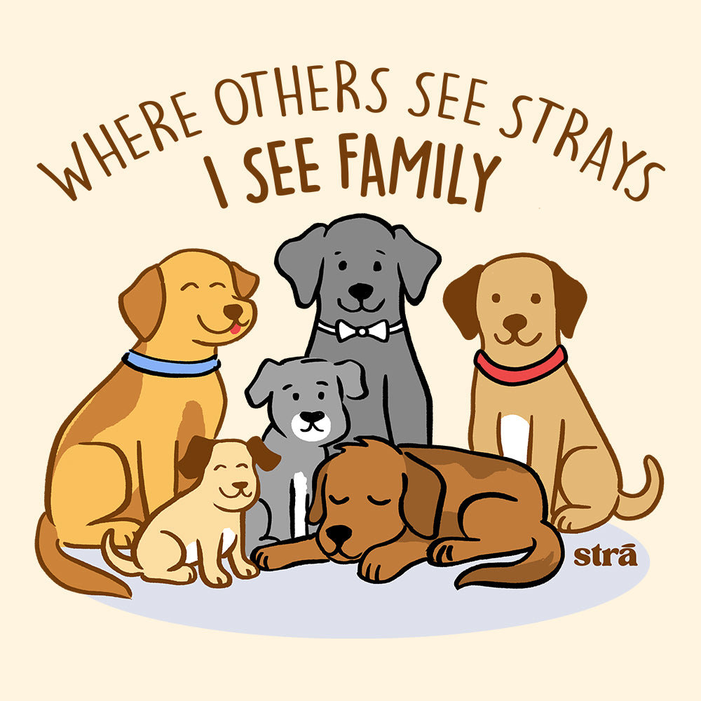 Where Others See Strays, I See Family Tee (Terracotta, Berry, Blue Jean, Ivory)