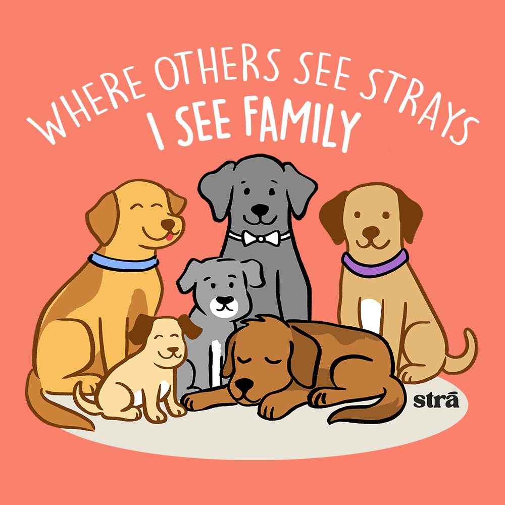 Where Others See Strays, I See Family Tee (Terracotta, Berry, Blue Jean, Ivory)