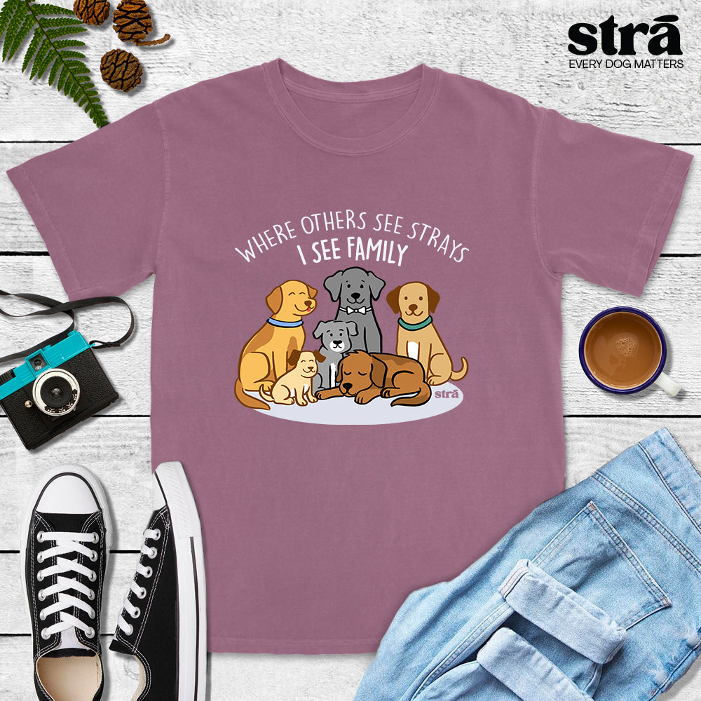 Where Others See Strays, I See Family Tee (Terracotta, Berry, Blue Jean, Ivory)