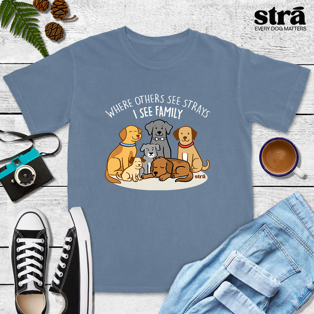 Where Others See Strays, I See Family Tee (Terracotta, Berry, Blue Jean, Ivory)