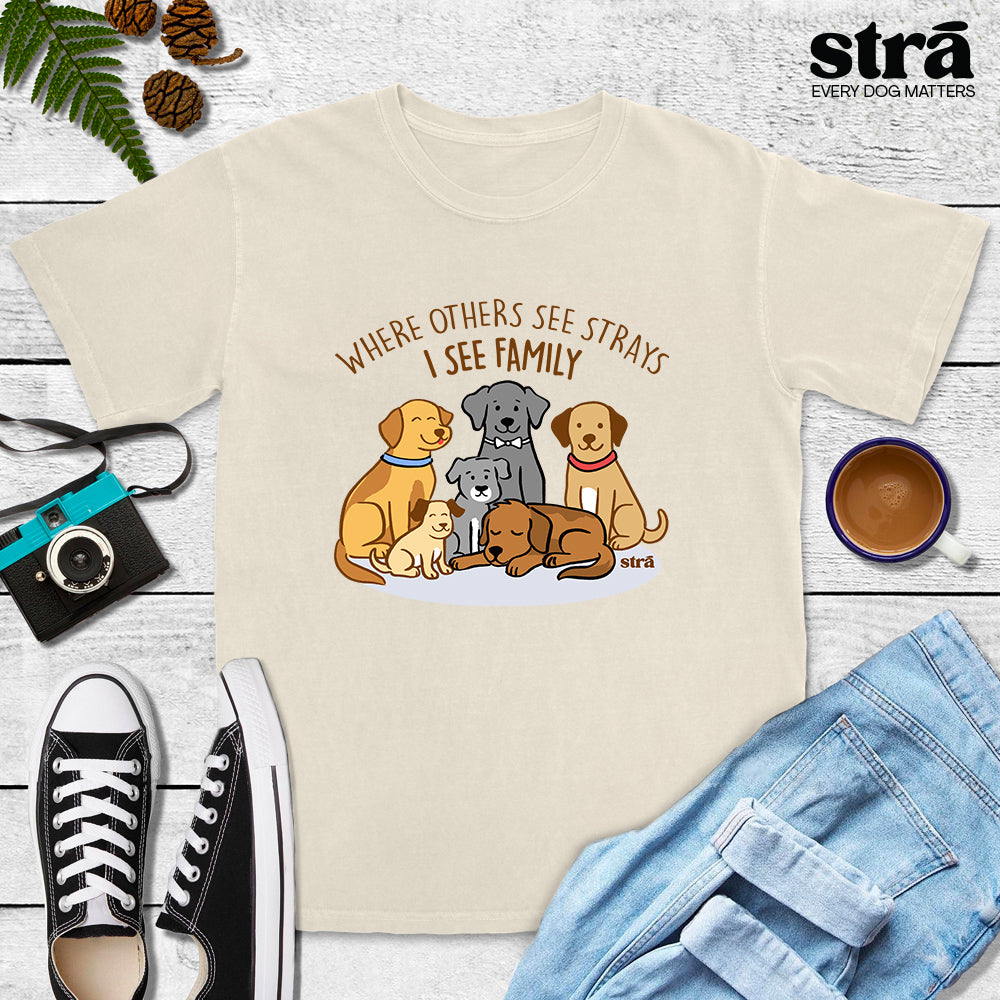 Where Others See Strays, I See Family Tee (Terracotta, Berry, Blue Jean, Ivory)