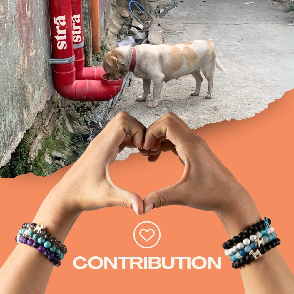 BUY 1 GET 1 STRA Dog Natural Stone Rainbow and Howlite &amp; Crystal Rainbow Bracelets