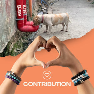 BUY 1 GET 1 STRA Dog Natural Stone Rainbow and Howlite & Crystal Rainbow Bracelets
