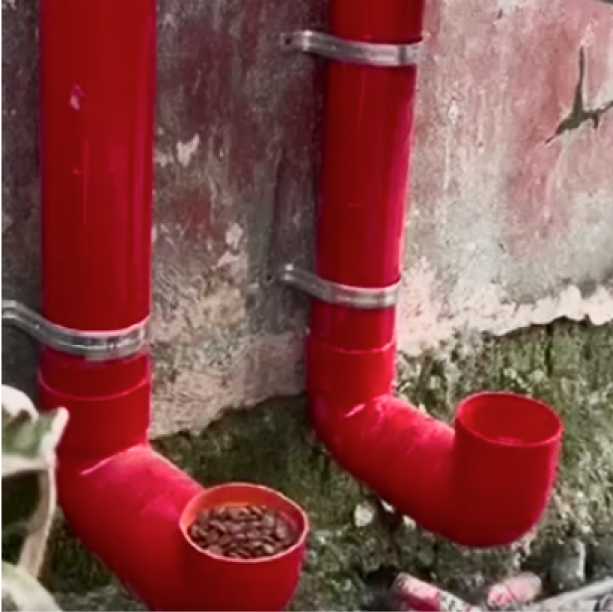 STR Feed Stray Pets Worldwide Sponsor Street Feeders With Every B str-feed-stray-pets-worldwide-sponsor-street-feeders-with-every-b