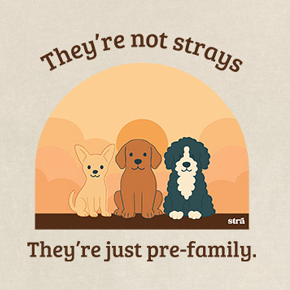 They&#39;re Not Strays, They&#39;re Just Pre-Family (Blue Jean, Terracotta, Ivory, Seafoam)